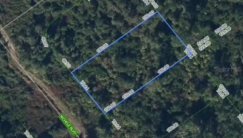 455 Nichele Blvd, FL