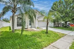 10039 Creek Bluff Dr, FL