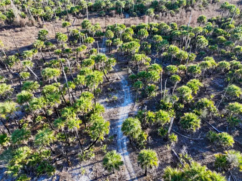 Black Burn Road, FL