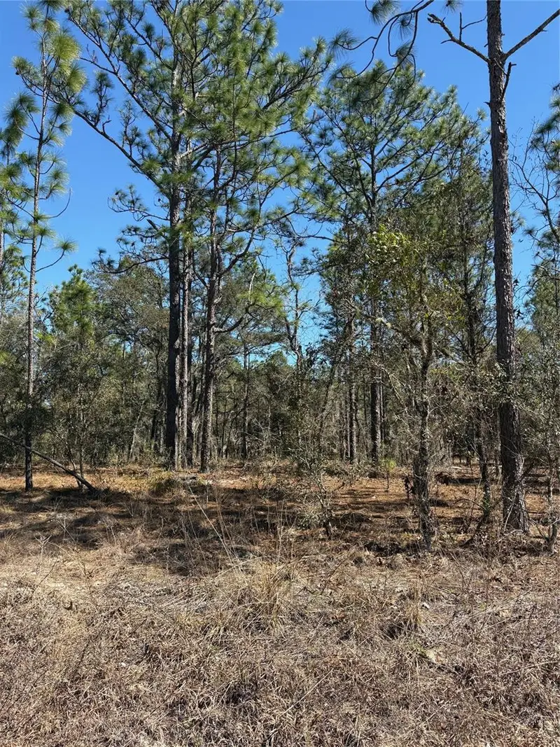 Tba Se 135th Ct, FL