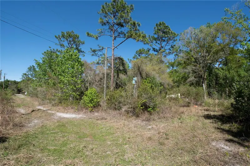 12934 Tanner Rd, FL