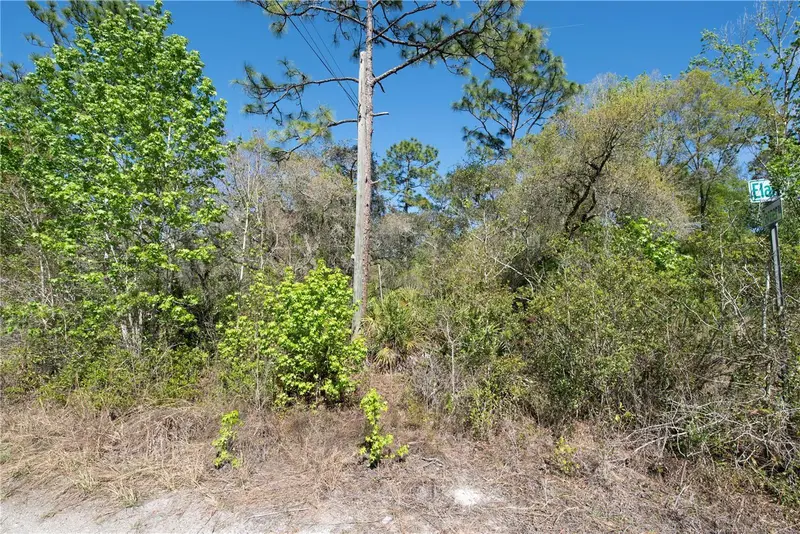 12934 Tanner Rd, FL