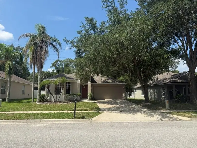 1102 Magnolia Blossom Ct, FL