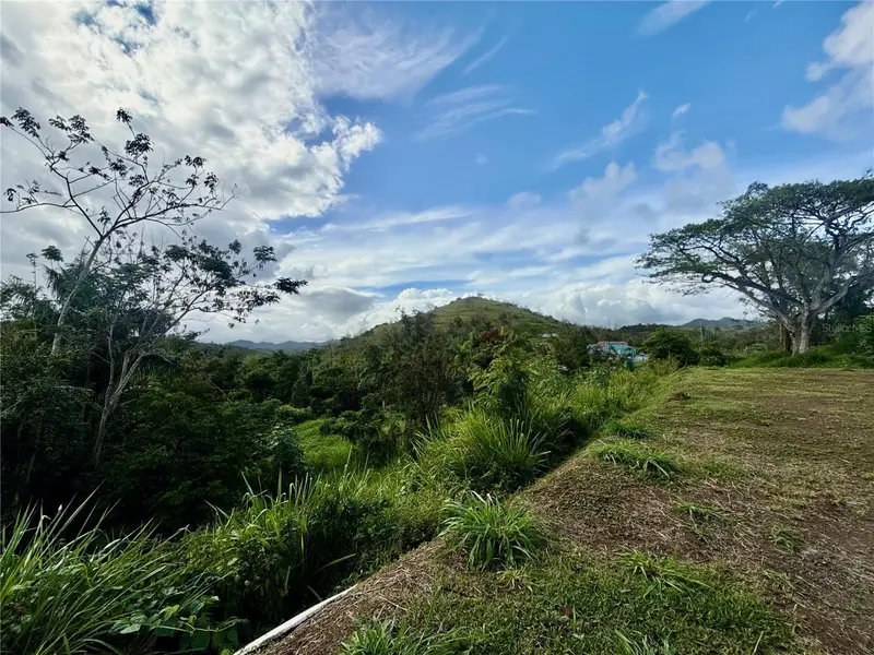 Bo RincóN Lomas, PR