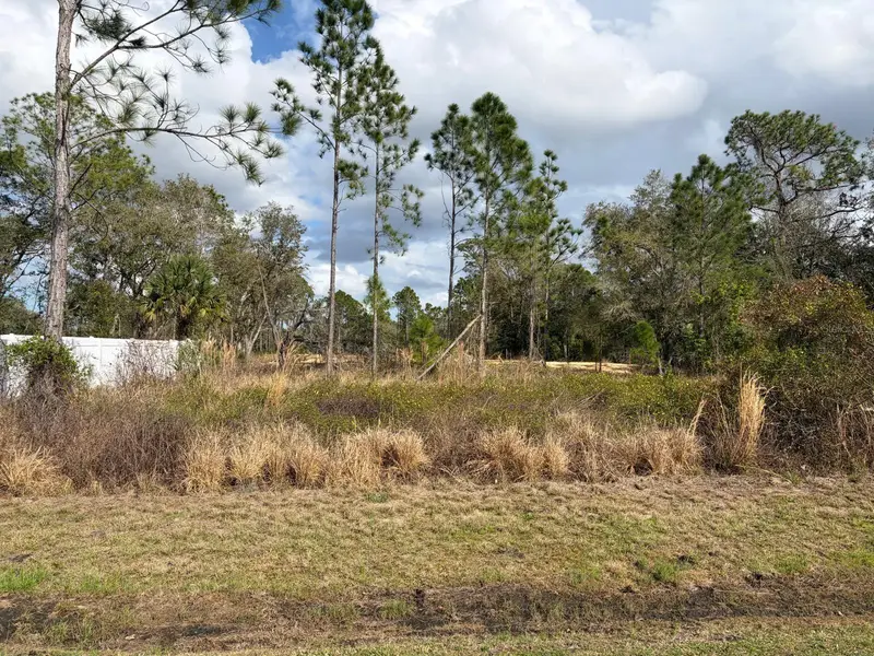 202 Spoonbill Drive, FL