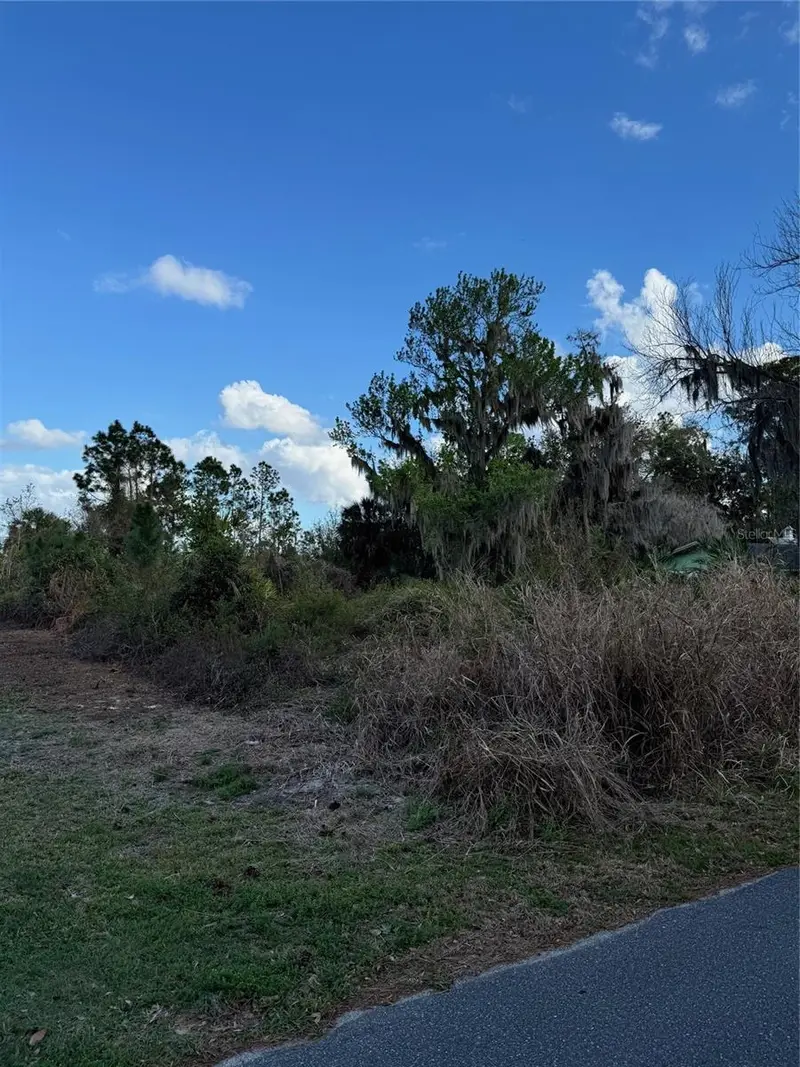 Cove Rd, FL