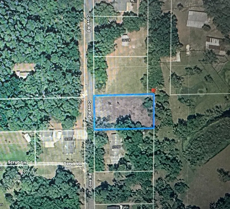 Cove Rd, FL