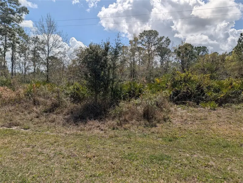 817 Poinciana Dr, FL