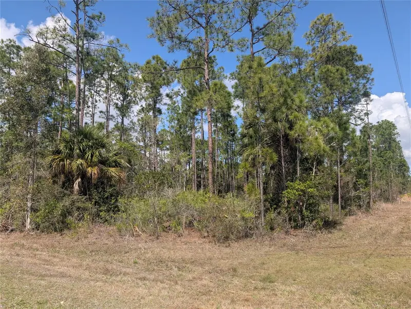 802 Althea Dr, FL