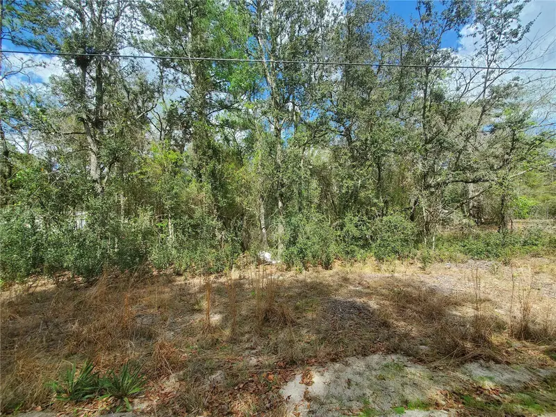 Ne 172nd Pl Lot 11, FL