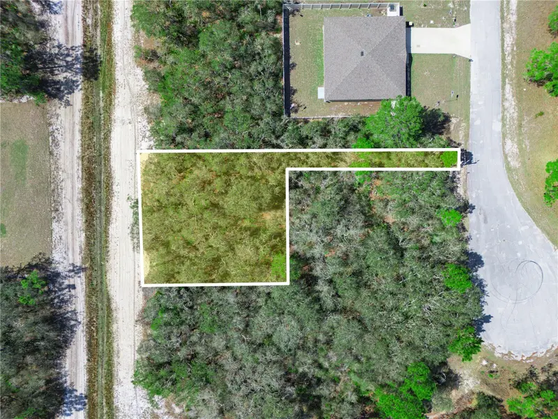 1246 Wahneta Dr, FL