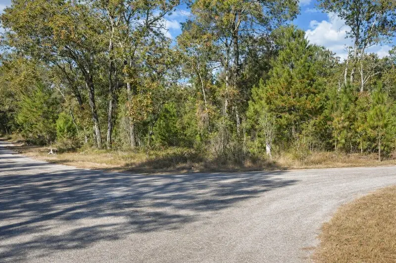 Guava Pass Pl, FL