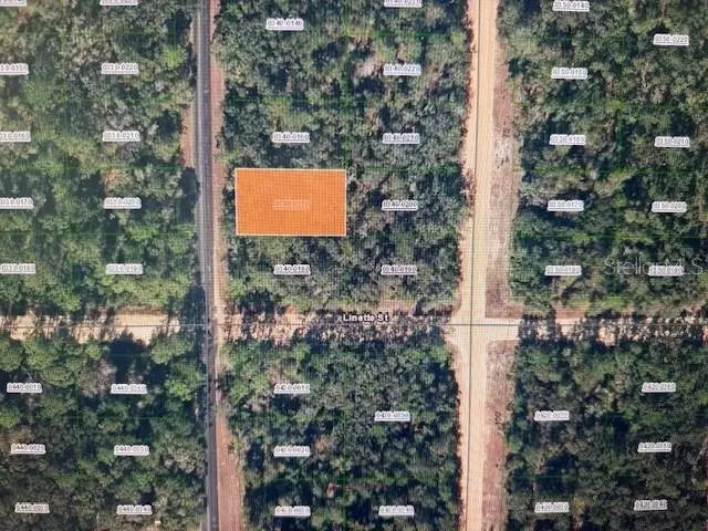 Xx Theresa Ave, FL