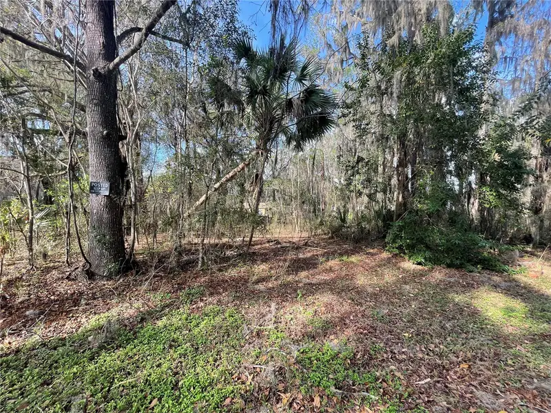 Tbd Se 40th Loop, FL