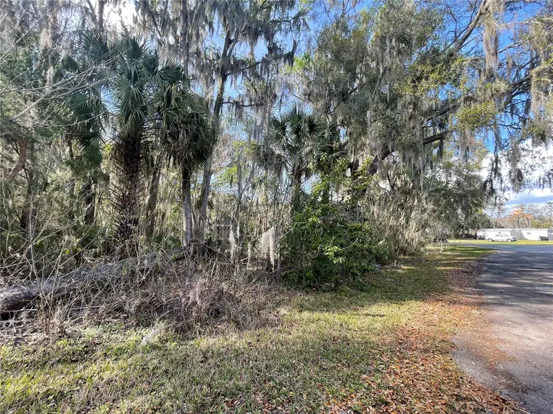 Tbd Se 40th Loop, FL