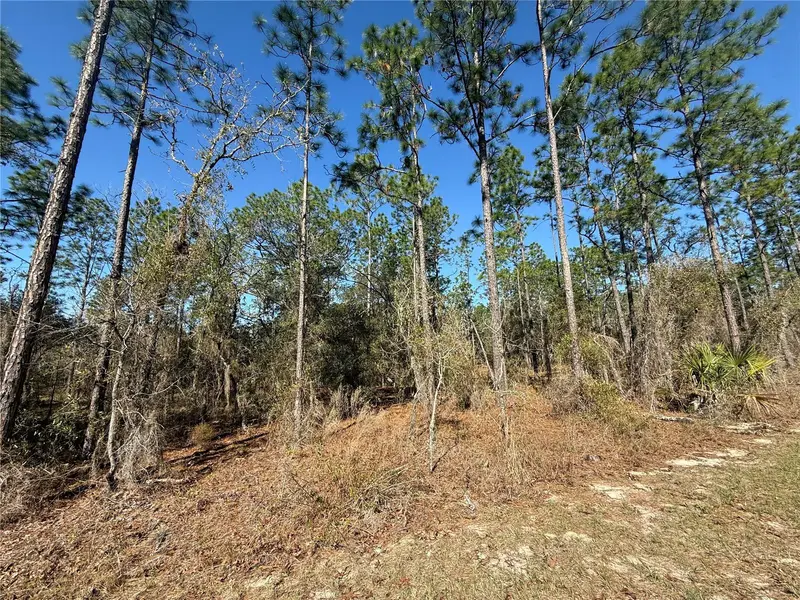 Lot 13 Se 129 Ct, FL