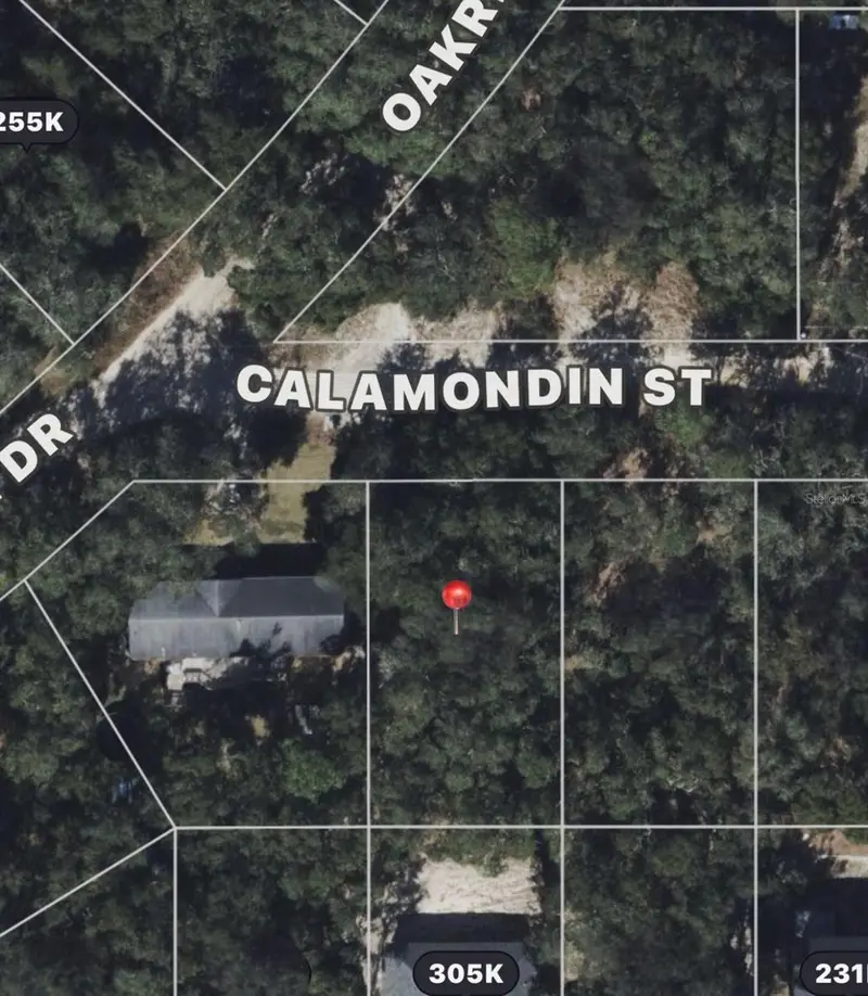 Calamondin St, FL