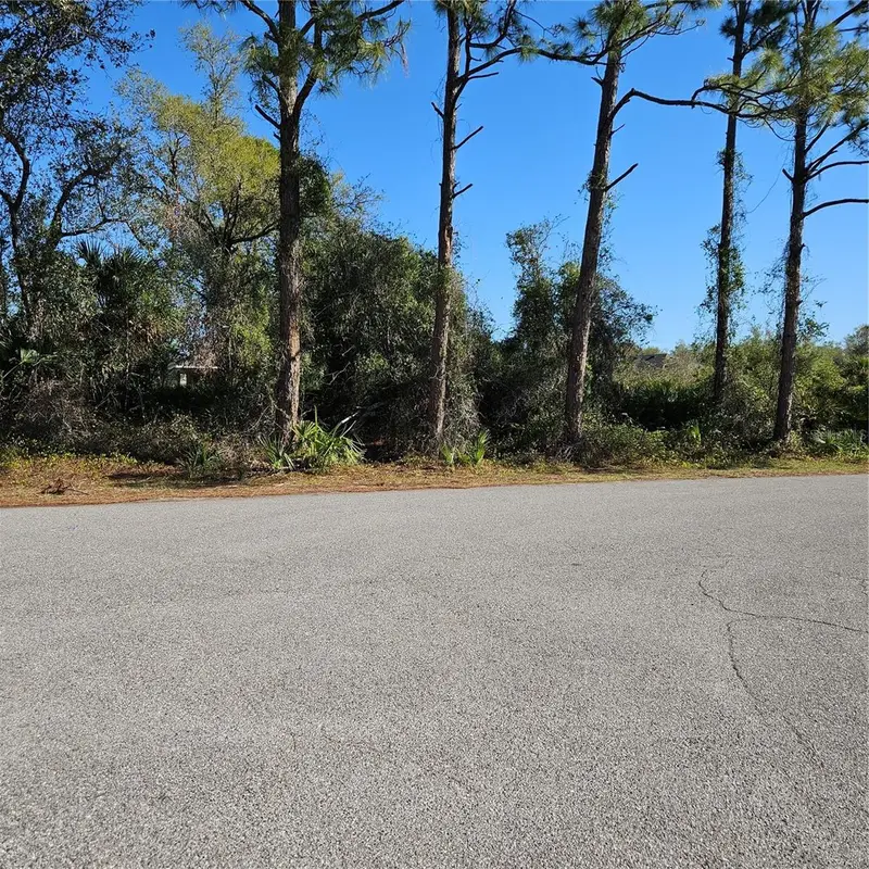 Janaro Rd, FL