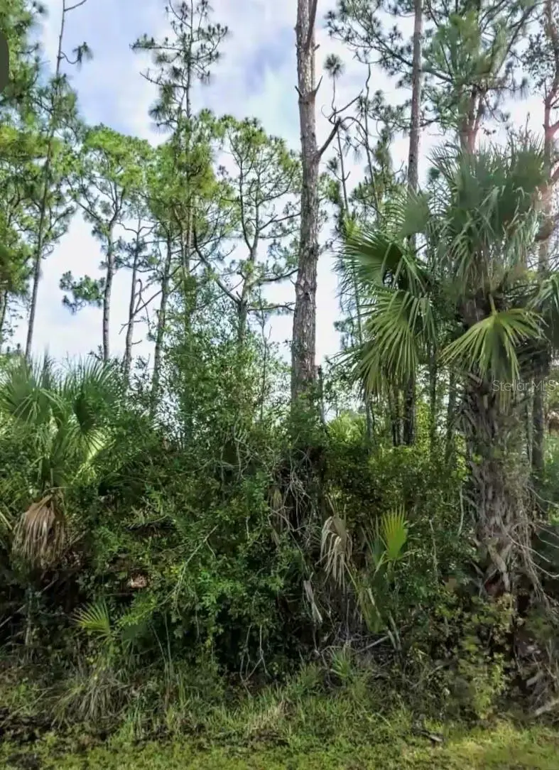 Lot 17 Donatello Ave, FL