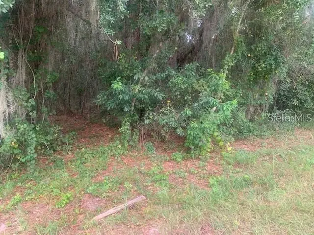 Groveland, FL