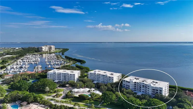 2410 Harbourside Dr #142, FL
