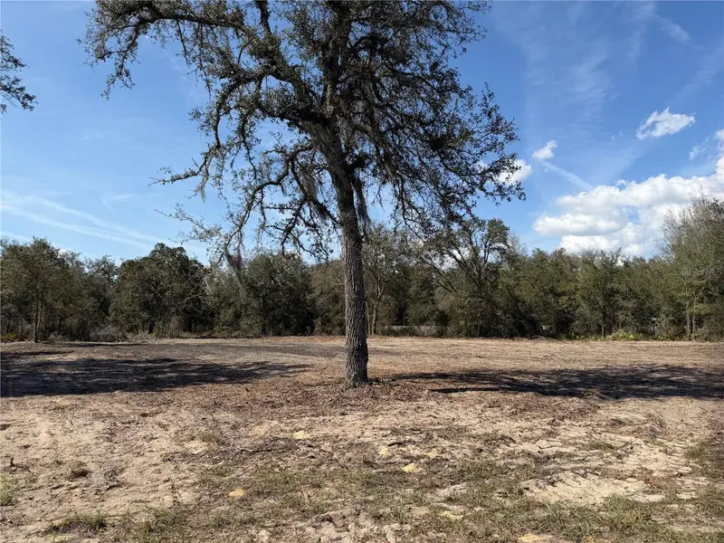 Tbd Ne 106th Ter, FL
