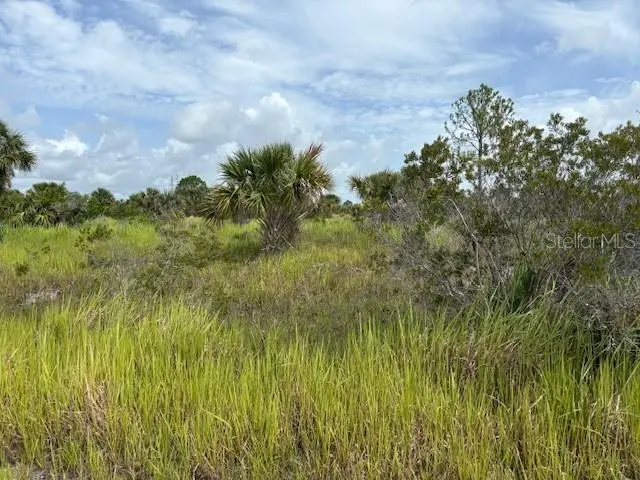 2239 Utopia Ave Sw, FL