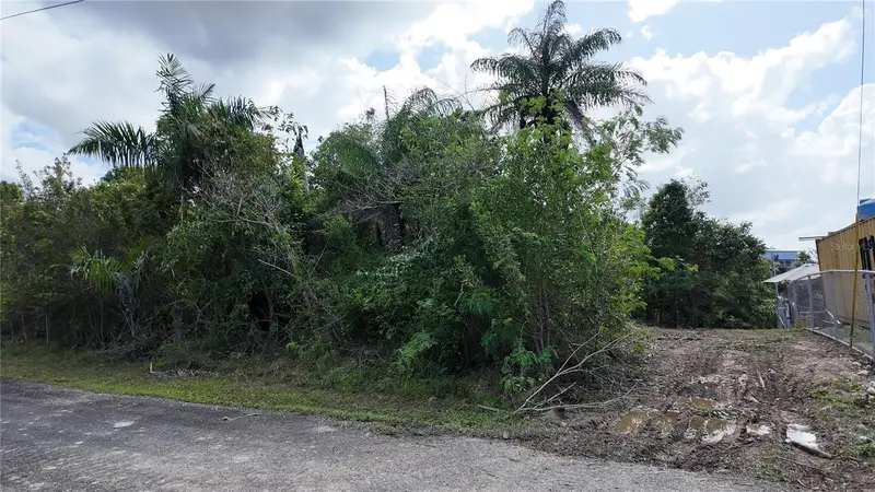 Urb. Haciendas Del Dorado Calle Maga #80, PR