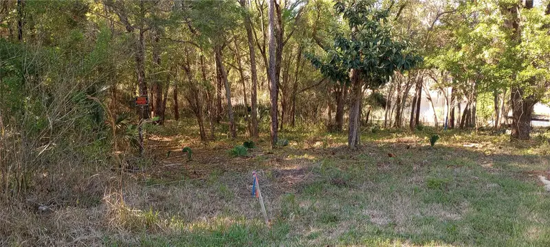 Casaurina Rd, FL