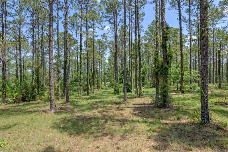 35408 Pinegate Trl, FL