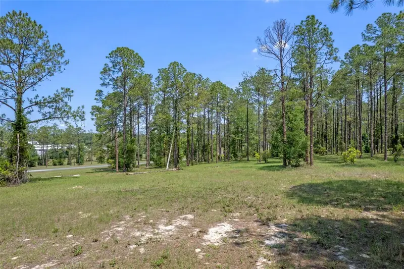 35408 Pinegate Trl, FL