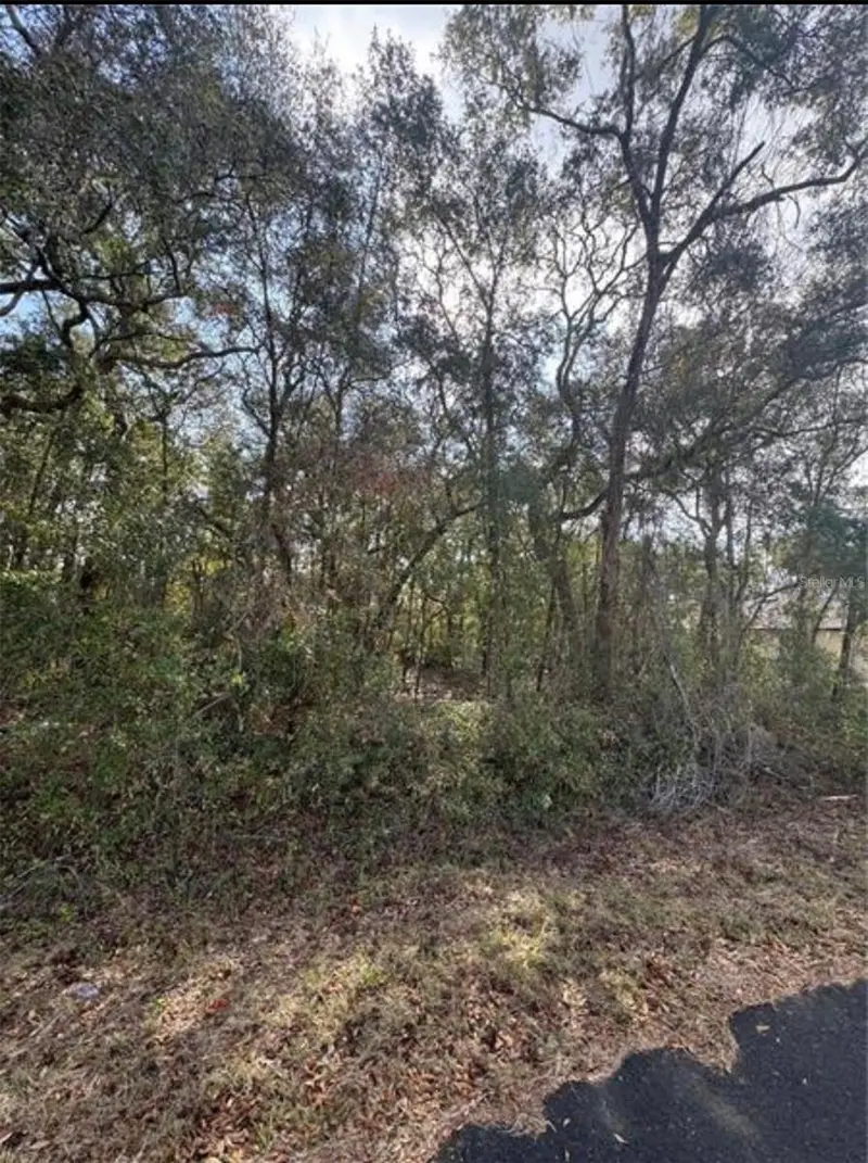 Tbd Locust Loop Ter, FL