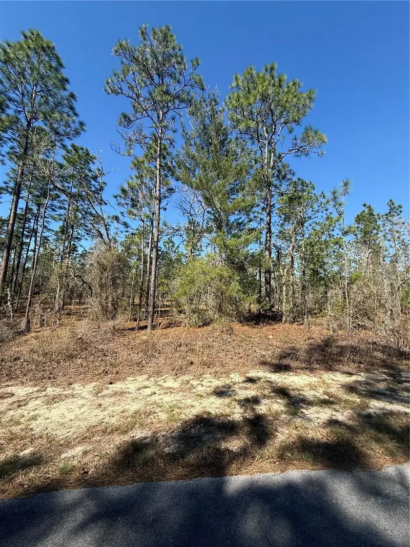 Lot 5 Se 130 Ct, FL