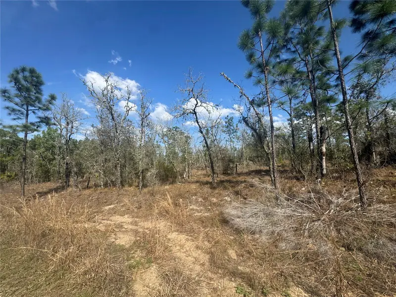 Tbd Ne 155th Ave, FL