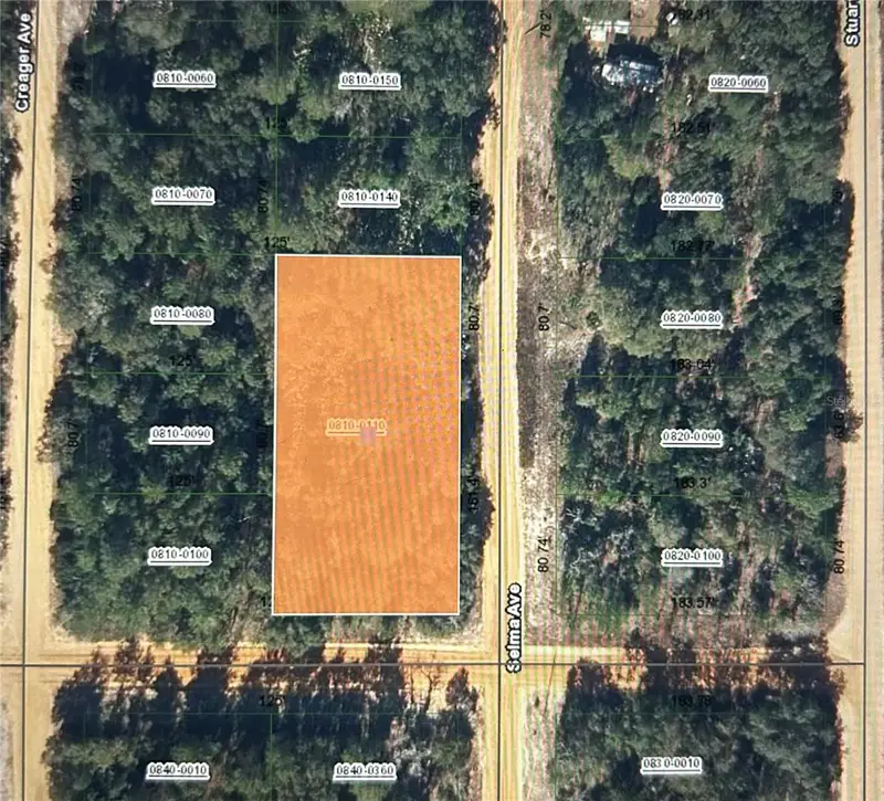 00 Selma Ave, FL