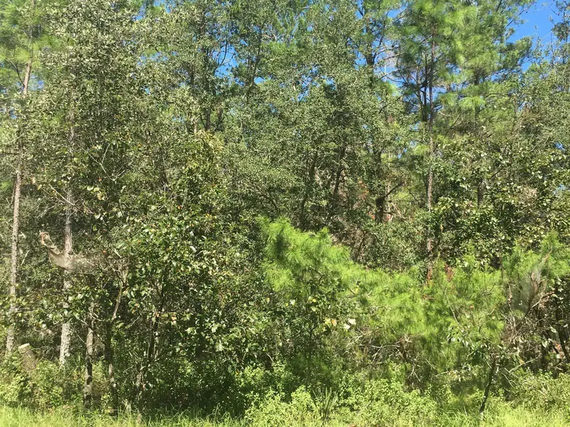 45th Terrace Rd, FL