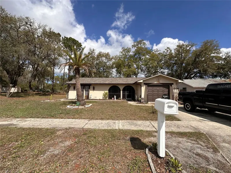 12805 Pecan Tree Dr, FL