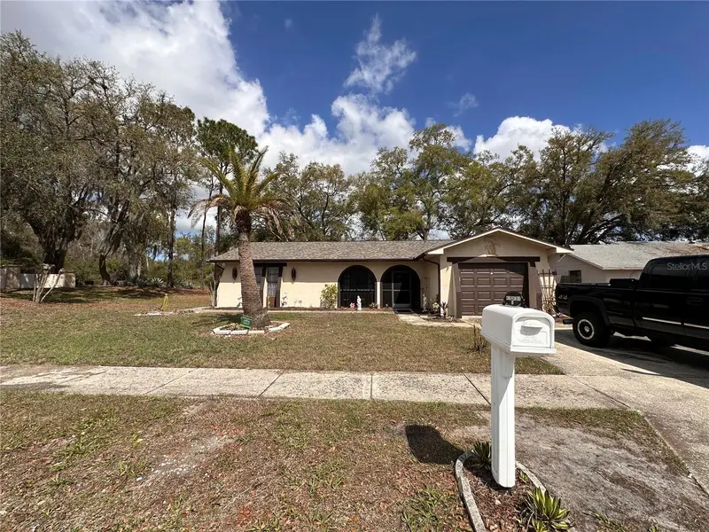 12805 Pecan Tree Dr, FL