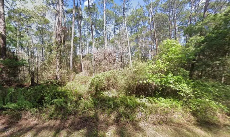 418 Palm Way, FL