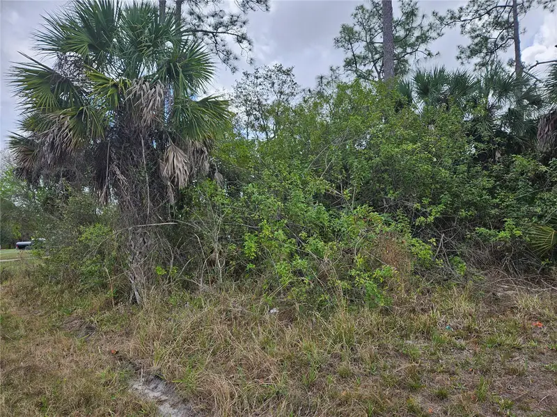 20339 Bachmann Blvd, FL