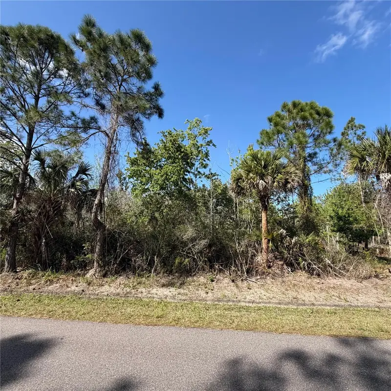 297 Frazer St Sw, FL