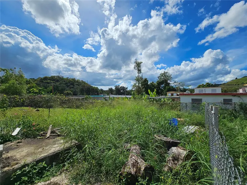 Calle 5 Calle Borinquen, PR