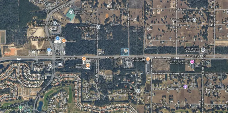 161 W Norvell Bryant Hwy, FL
