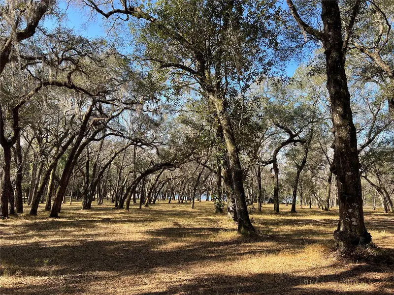 Forest  02 Rd, FL