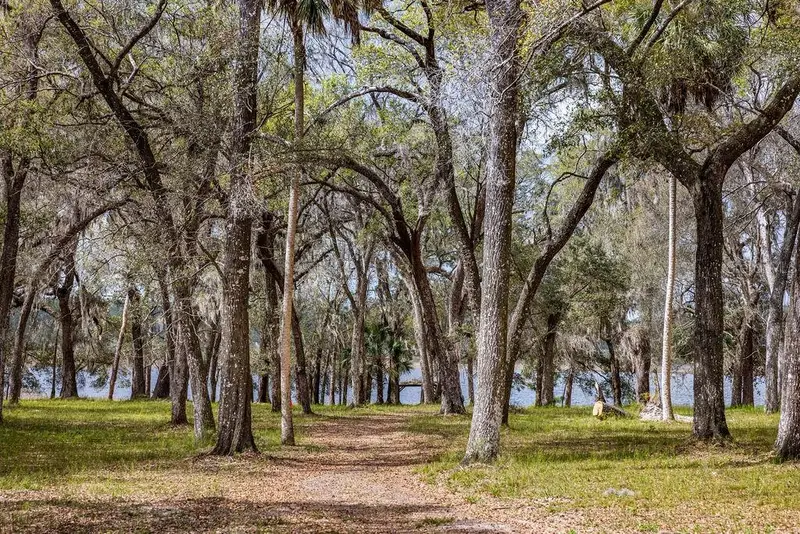 Forest 02 Rd, FL