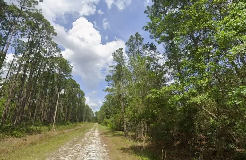 138 Mosswood St, FL