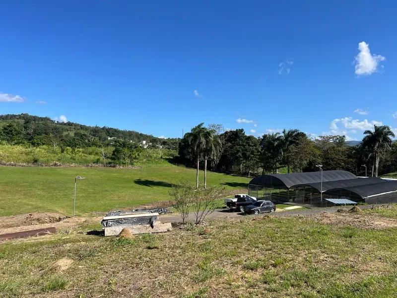 Pugnado Adentro, PR