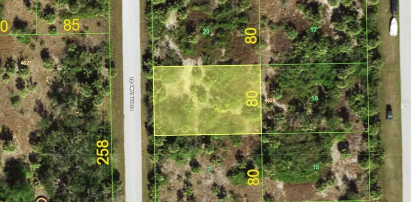 13530 Storm Lake St, FL
