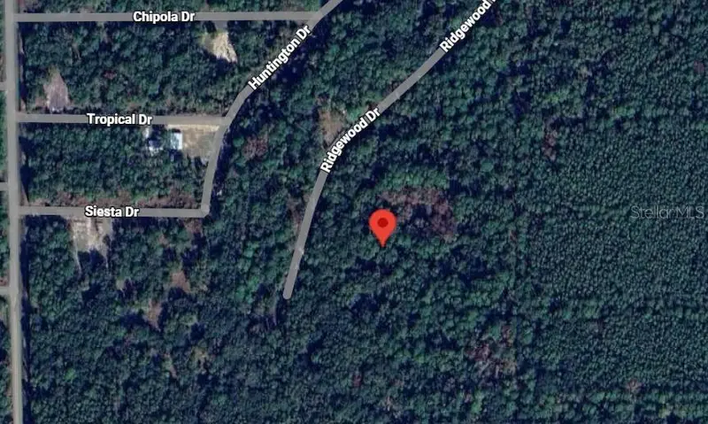 205 Siesta Dr, FL