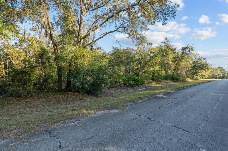 Tbd Sw 174 Pl, FL